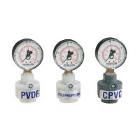 Penguin Gauge Guard Assembly: Automatic - CPVC \ FKM