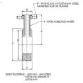 Instrument Tee - Lug Style - 2 Inch Outlet: Flanged